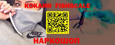 СК Кингисепп