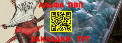 СК Кингисепп