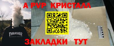 СК Кингисепп