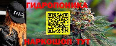 эйфоретик Кинель