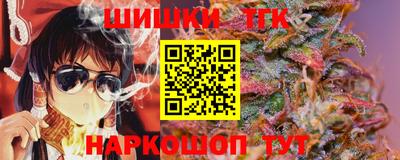 СК Кингисепп