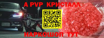 СК Кингисепп