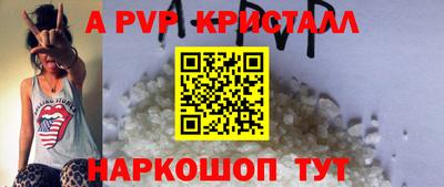 СК Кингисепп