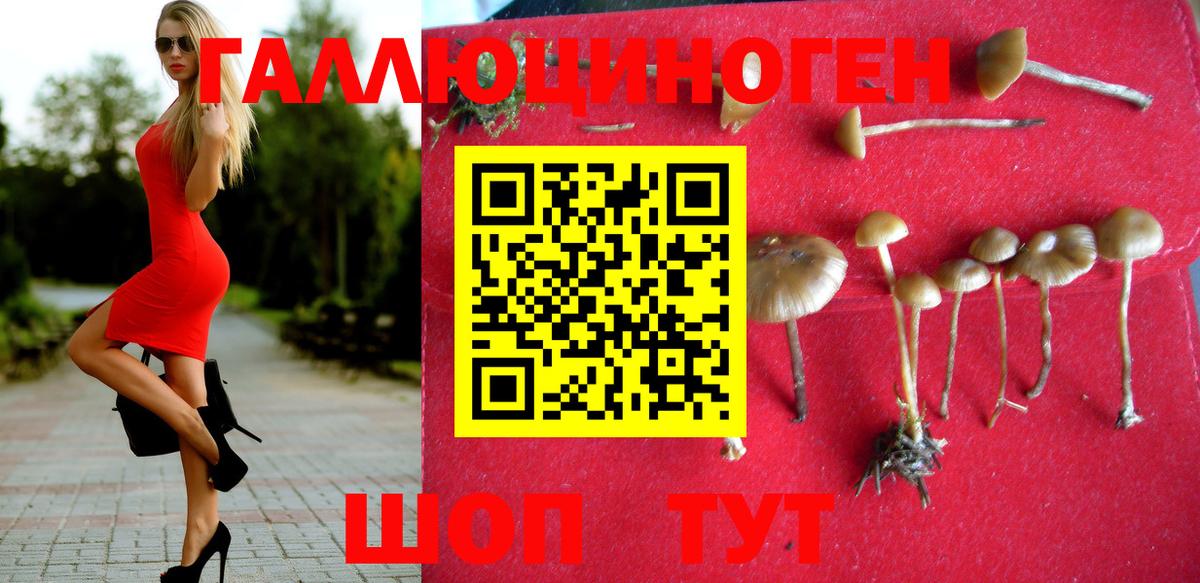 Псилоцибиновые грибы мицелий  Вход с VPN  Конаково 